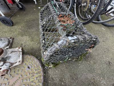 LOBSTER CAGE
