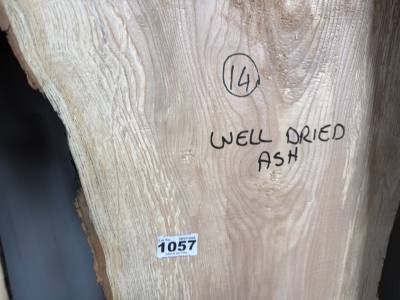 PIECE OF ASH (190 CM)