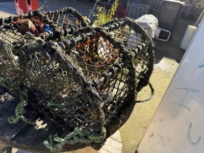 LOBSTER CAGE