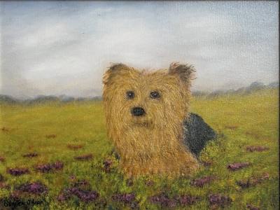 QUINTON O'HARA OIL ON CANVAS "TERRIER BASKING" (30X40)