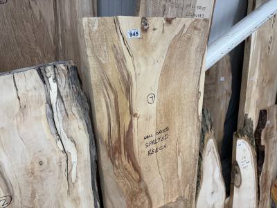 PIECE OF SPALTED BEECH (170CM)