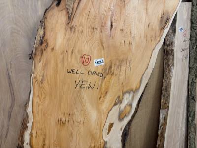 DRIED YEW (170CM)