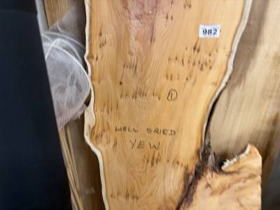 DRIED YEW (165CM)