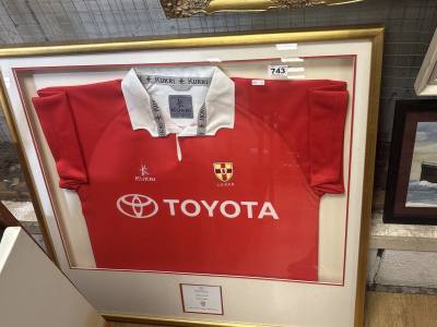 FRAMED ULSTER RUGBY TOP