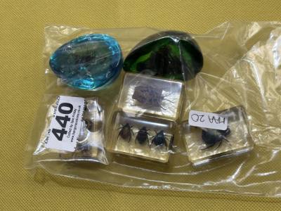 LOT OF INSECTS IN RESIN