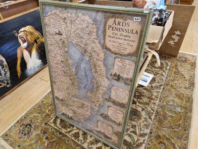 ARDS PENINSULA PRINT
