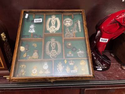 ROYAL IRISH + REGIMENT BADGE IN CASE