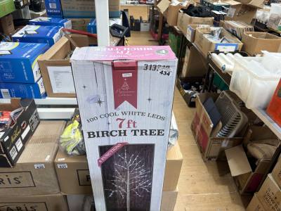 7 FOOT BIRCH TREE