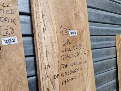 2 X PIECES OF DRIED SPALTED ELM