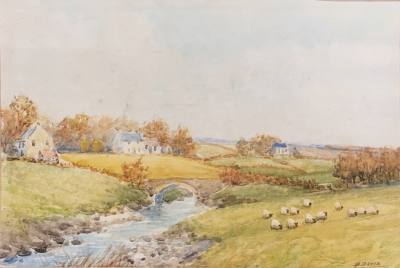F.B DAVIS WATERCOLOUR "SHEEP GRAZING" (23X33)