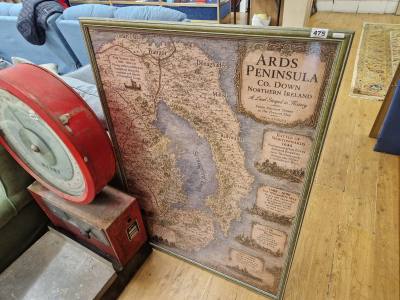ARDS PENINSULA PRINT