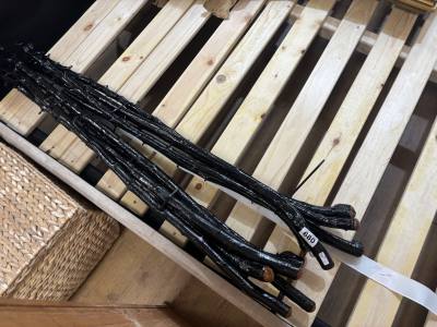 LOT OF  BLACKTHORN WALKING STICKS