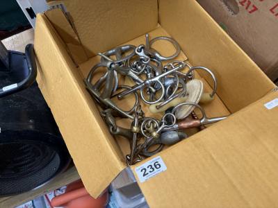 BOX OF HORSE RIDING ACCESSORIES 