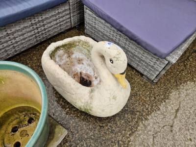 STONE SWAN PLANTER