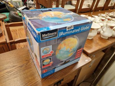 LIGHT UP GLOBE