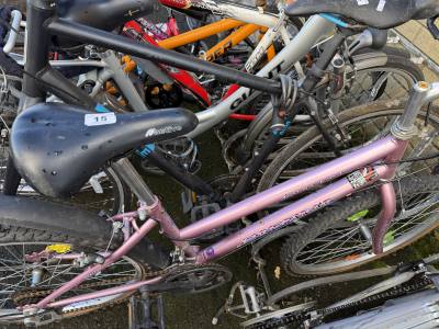 SARENA BIKE