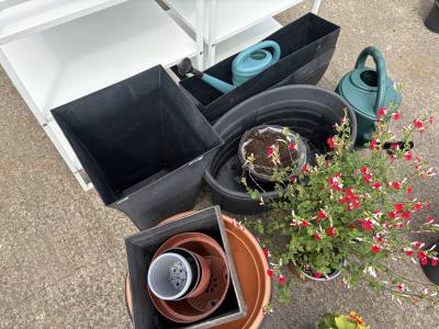 LOT OF PLANTERS