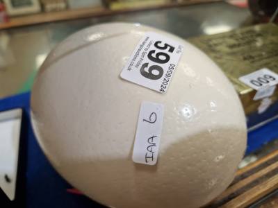 OSTRICH EGG