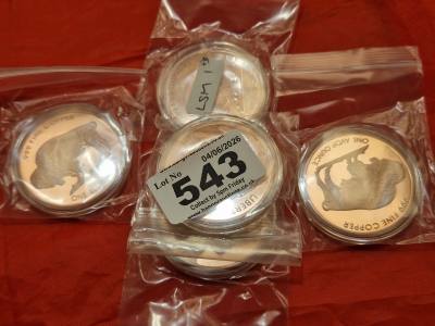 5 X 1 Oz 999 COPPER COINS