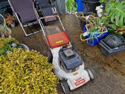 PETROL MOWER (SAS)