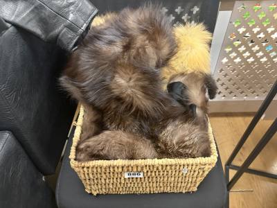 BOX OF FURS