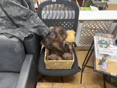 OFFICE CHAIR