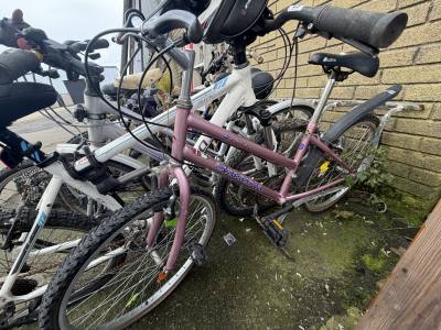 SARENA BIKE
