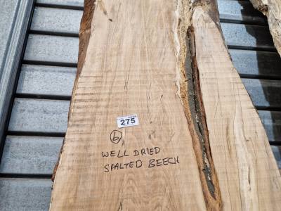 SPALTED BEECH (APPROX 290CM)