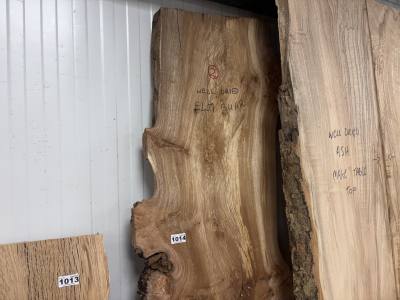 ELM BUR (185CM)