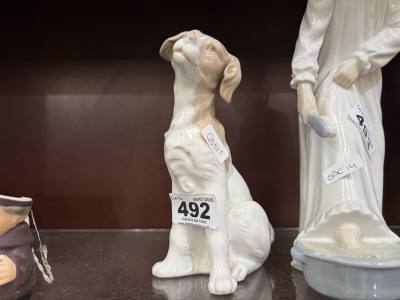 NAO DOG