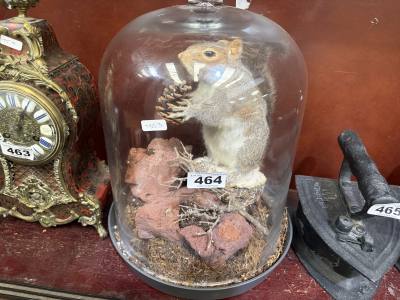 STUFFED SQUIRREL IN CASE