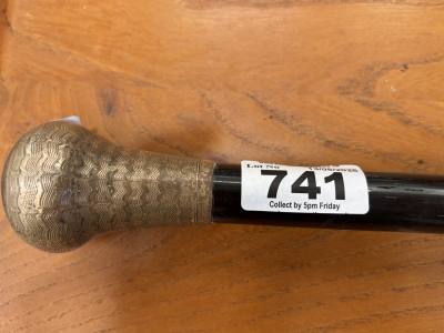 SILVER TOP WALKING STICK