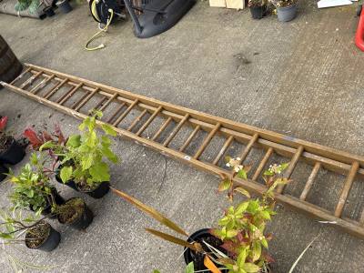 LARGE 2 TIER WOODEN LADDERS