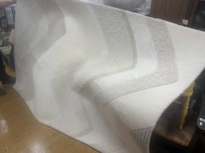 (160 X 230) RUG