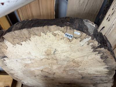 LARGE BEECH RING