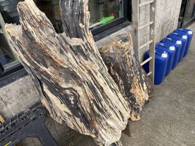 2 X PIECES OF DRIFTWOOD