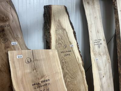 DRIED OAK (165CM)