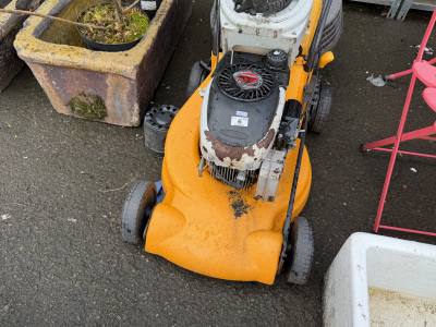 PETROL MOWER + PETROL BLOWER (SAS)