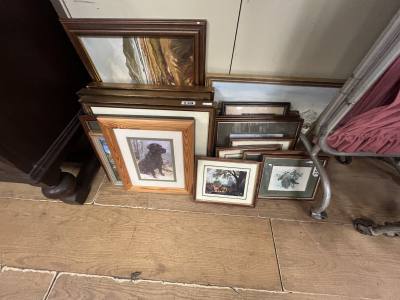 BOX OF PICTURES + OTHERS