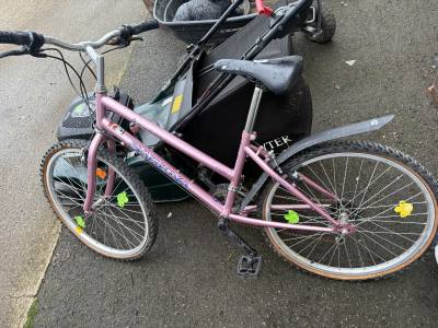 SARENA BIKE