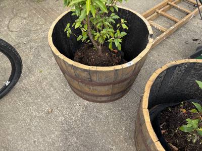 HALF PLANTER