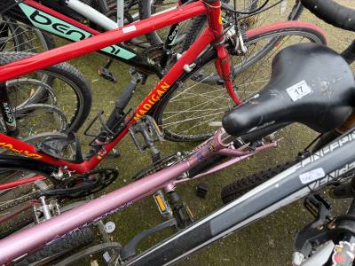 SARENA BIKE