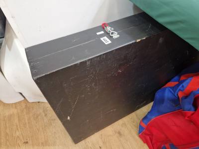 LARGE CASE