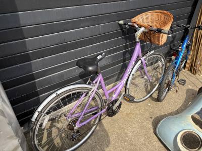 LADIES METEOR BIKE