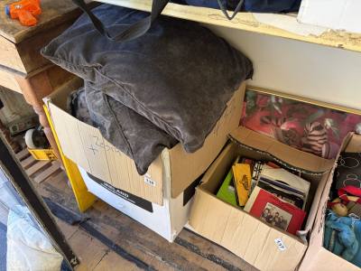 BOX LOT + ZEBRA PRINT