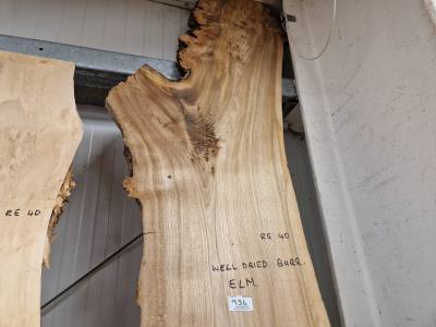 WD BURR ELM (270CM)