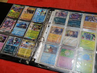 POKEMON BINDER