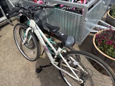 LADIES BIKE + GIRLS BIKE