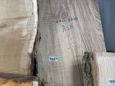 DRIES ASH (220CM)